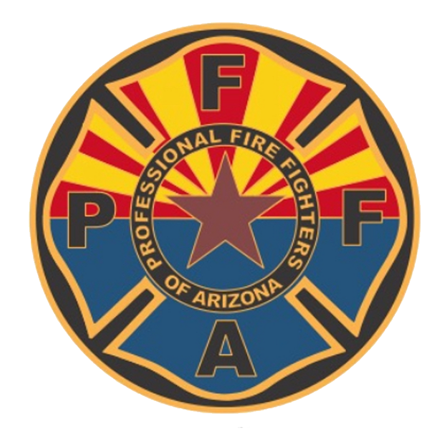 Project100 Challenge Coin